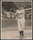 1930's Lefty O'doul Batting Large Vintage Baseball Photo One Of His Best