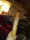 1954 Ted Williams Louisville Slugger Little League Bat