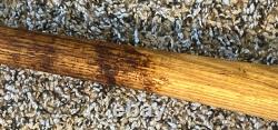 Don Baylor Vtg Game Used Baseball Bat (1977-79) California Angels Mvp All Star