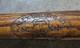 Vintage 1920s-30s Alex Taylor & Co, New York. Decal Bat. No. C. B