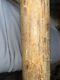 Vintage Adirondack Whip Action 302s Aaron Tyler 32 White Ash Baseball Bat