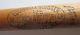 Vintage Joe Ducky Medwick Louisville Hillerich Bradsby Slugger Baseball Bat Nice