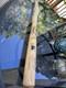 Vintage Louisville Slugger 225yb Ken Griffey Jr Grand Slam Youth Wood Bat